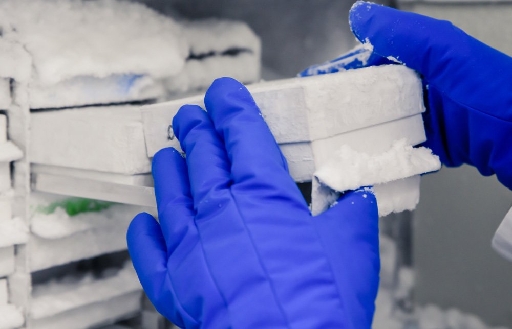 Freezer Calibration Services by Allometrics