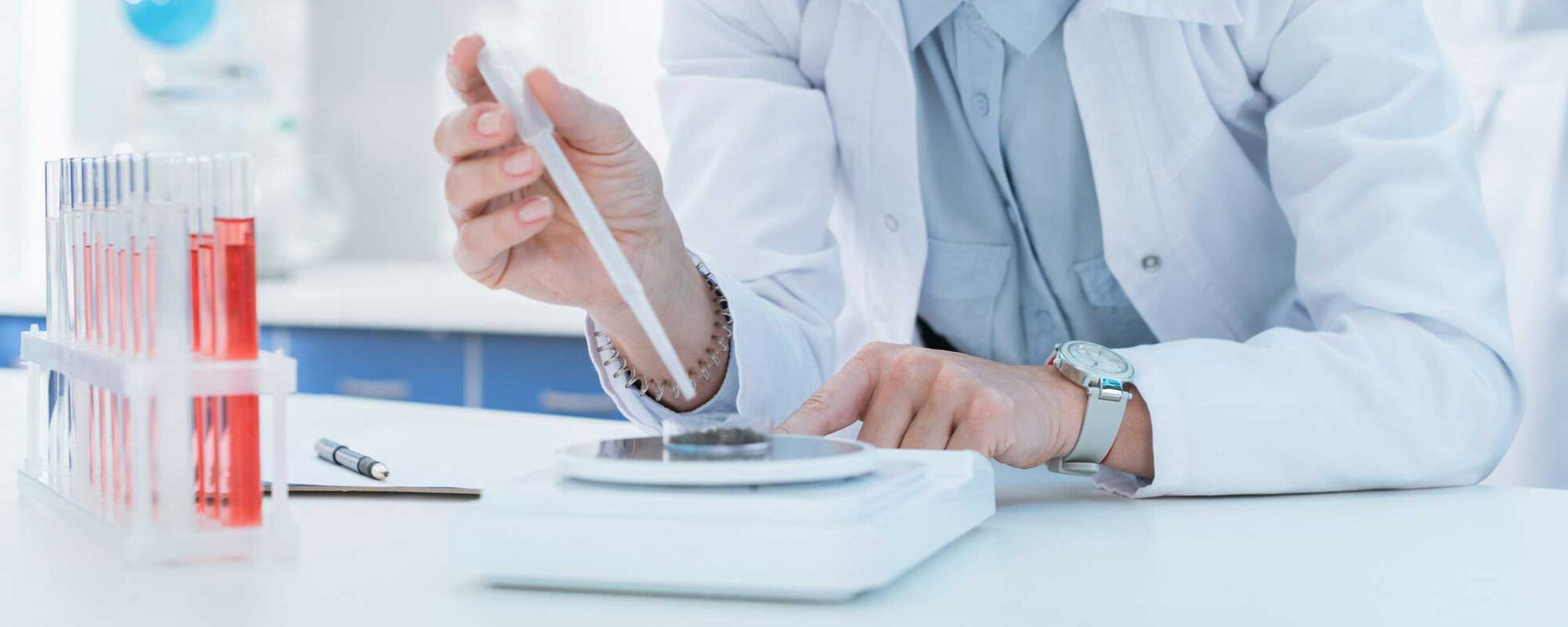 Our Services | Allometrics