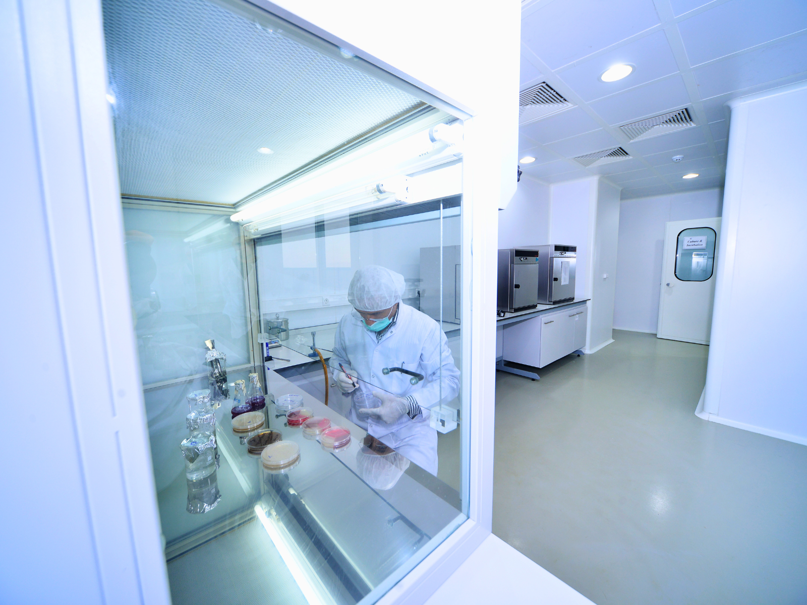 Fume hood service environment with a lab professional working with cultures